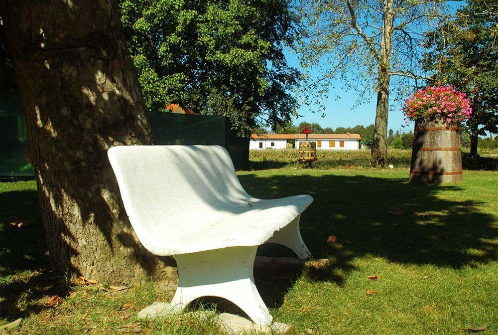 Agriturismo Ca Nuova Minerbio Exterior photo